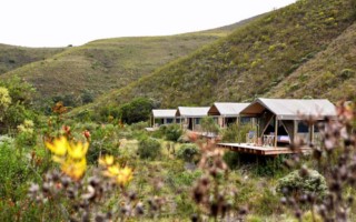 Gondwana Tented [320x200]